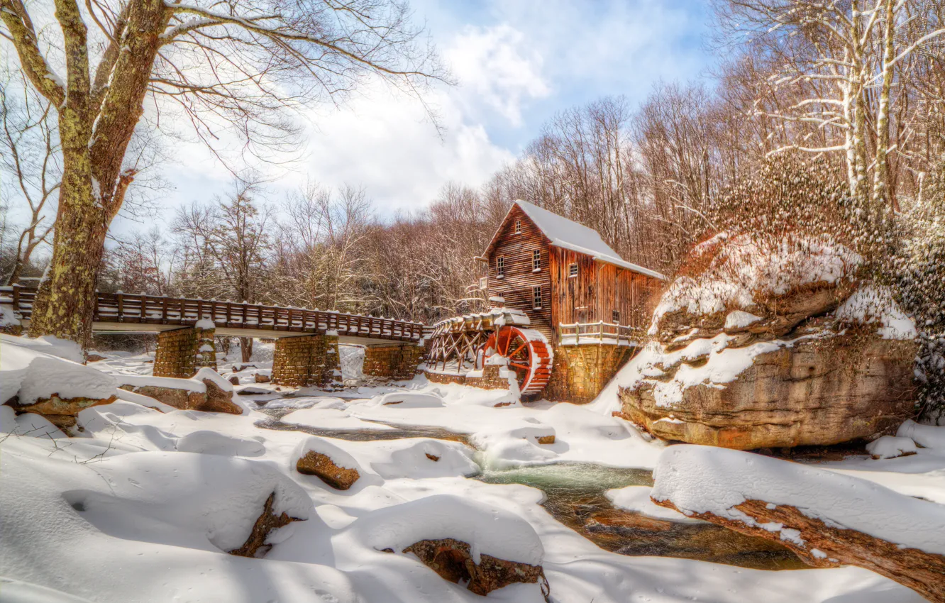 Photo wallpaper winter, forest, the sky, clouds, trees, branches, stones, slope