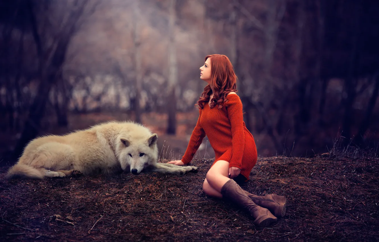 Photo wallpaper girl, wolf, legs, redhead, sweater, Melis