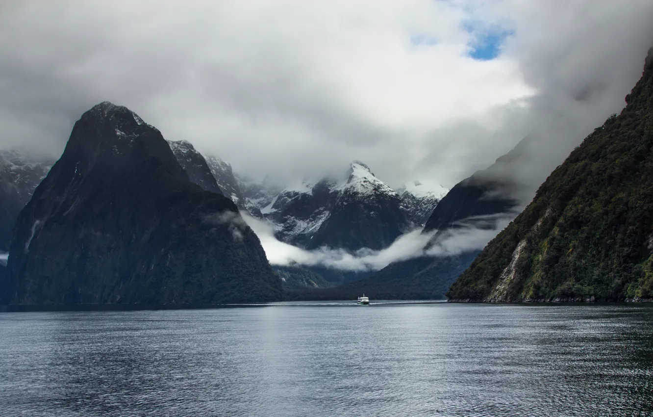 Photo wallpaper New Zealand, New Zealand, Milford Sound, South island, South Island, the fjord Milford Sound, national …