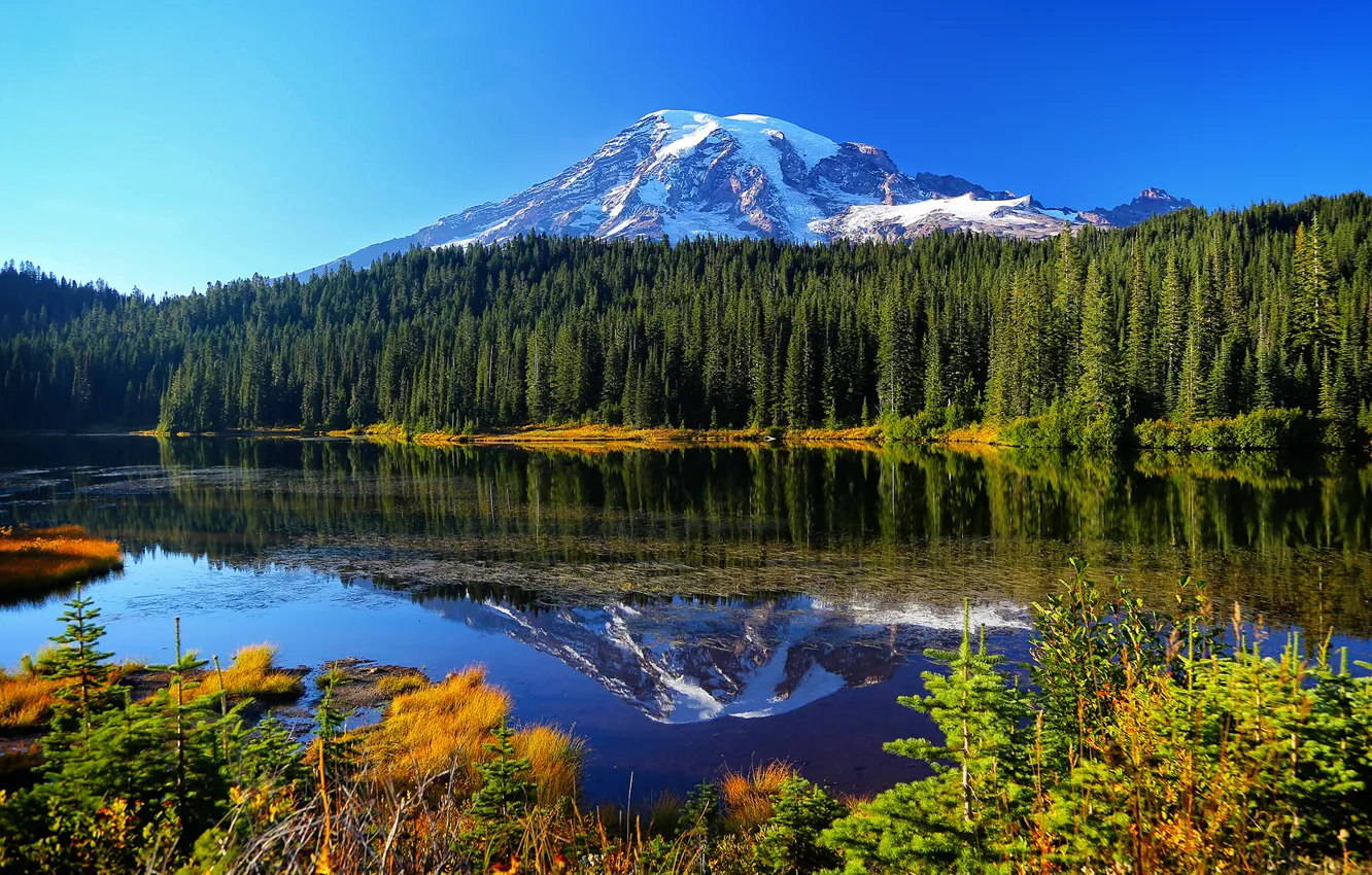 Photo wallpaper autumn, forest, water, trees, mountains, lake, reflection, Mount Rainier National Park