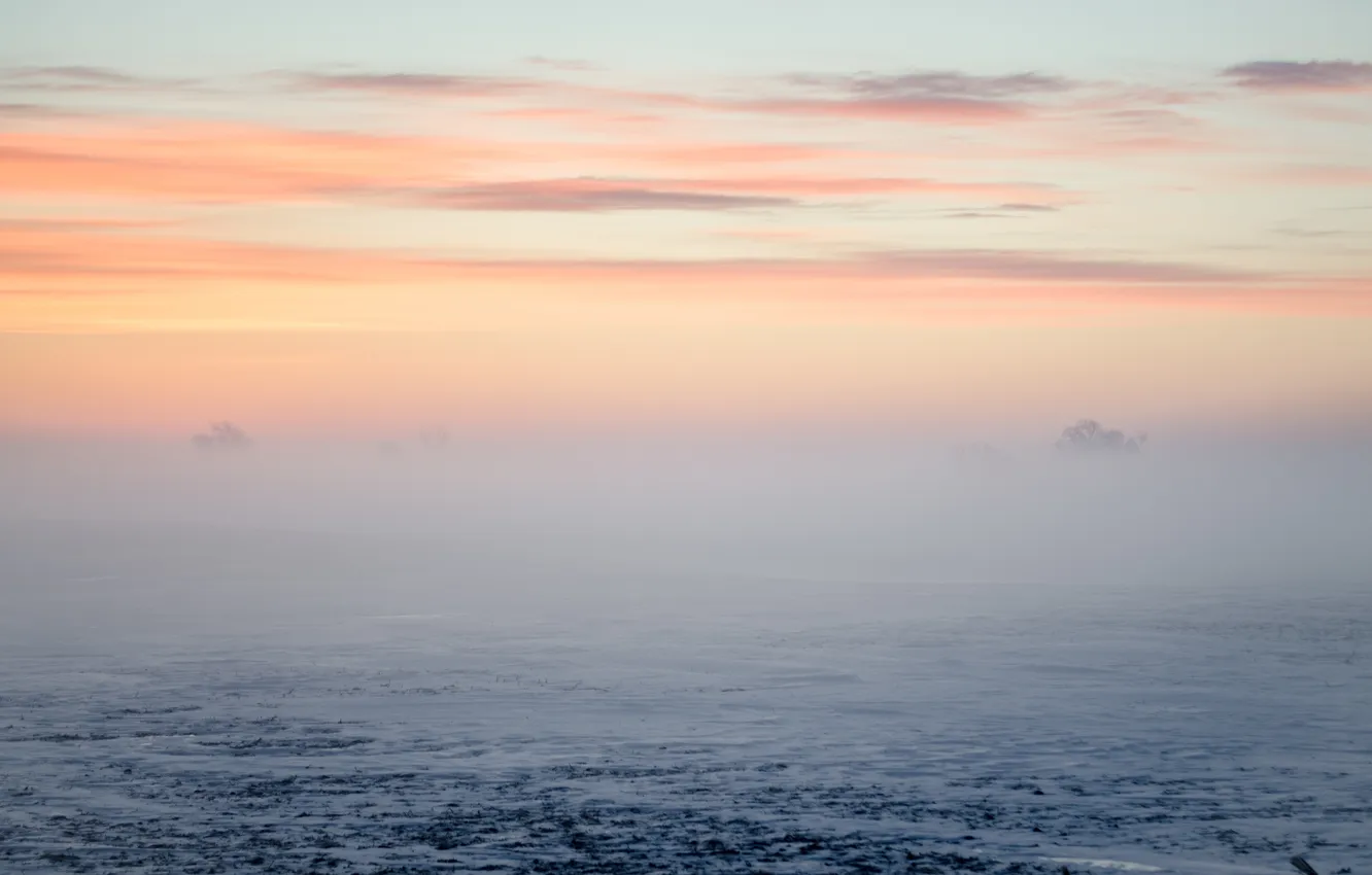 Photo wallpaper field, the sky, clouds, snow, landscape, nature, fog, dawn