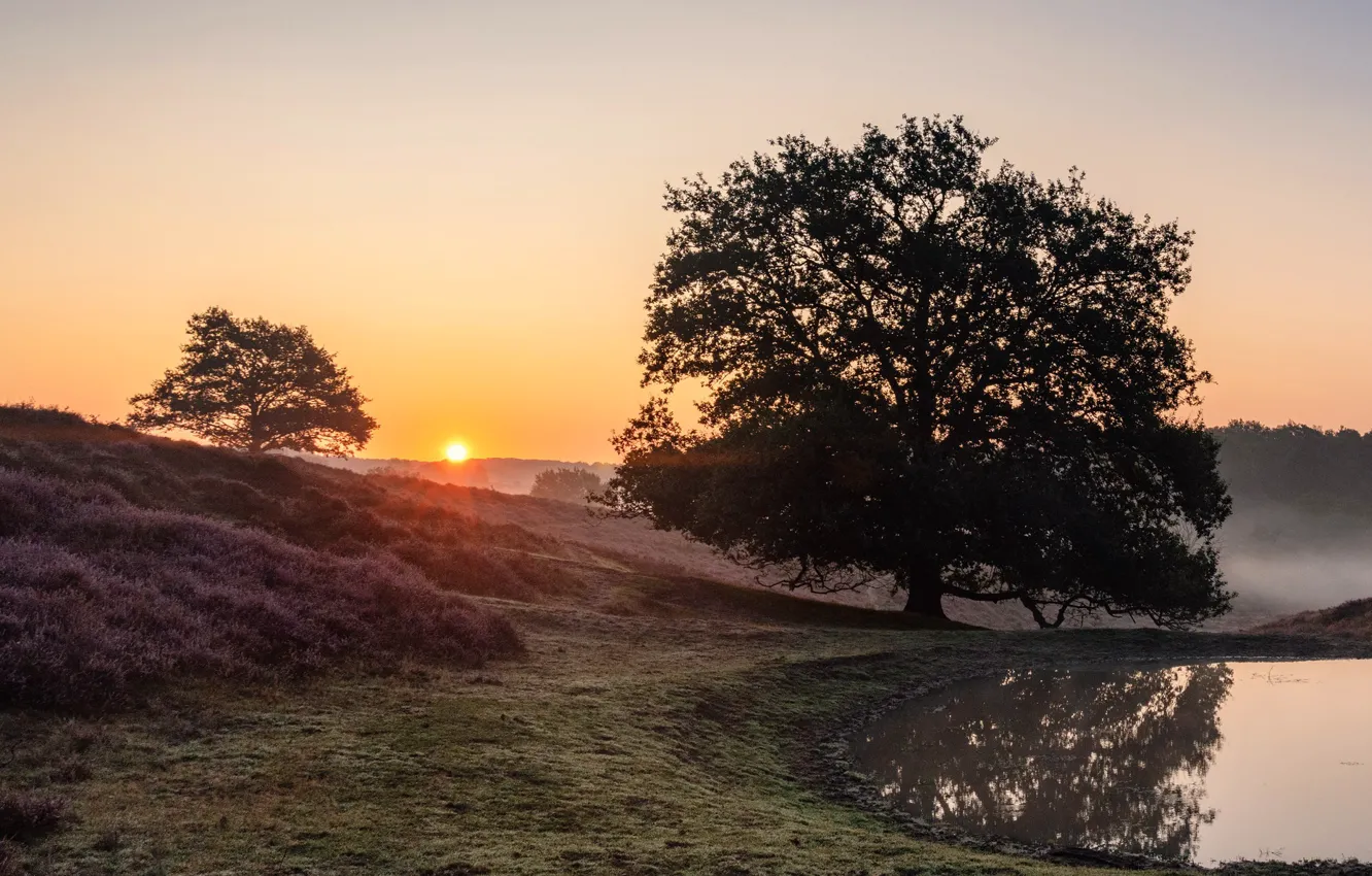 Photo wallpaper Holland, sunrise, Rheden, The Province Of Gelderland