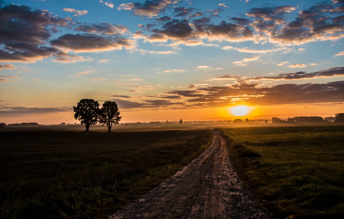 Photo wallpaper road, field, morning