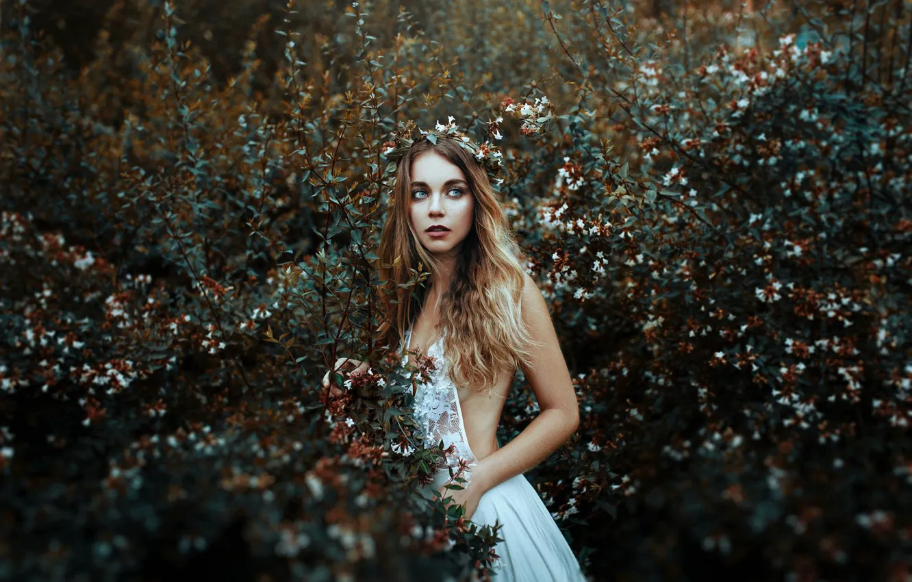 Photo wallpaper girl, mood, dress, wreath, the bushes, Valentina Knight