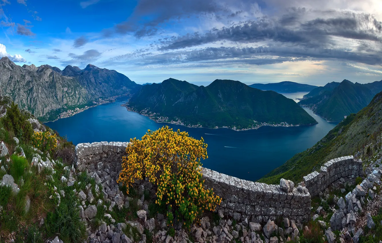 Photo wallpaper flowers, mountains, stones, the bushes, masonry, - water