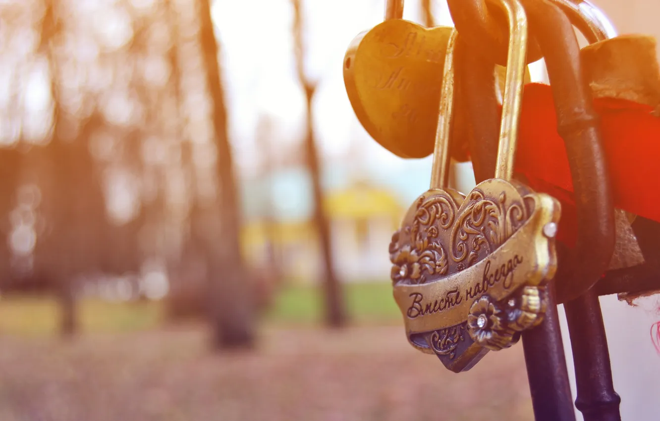 Photo wallpaper macro, mood, different