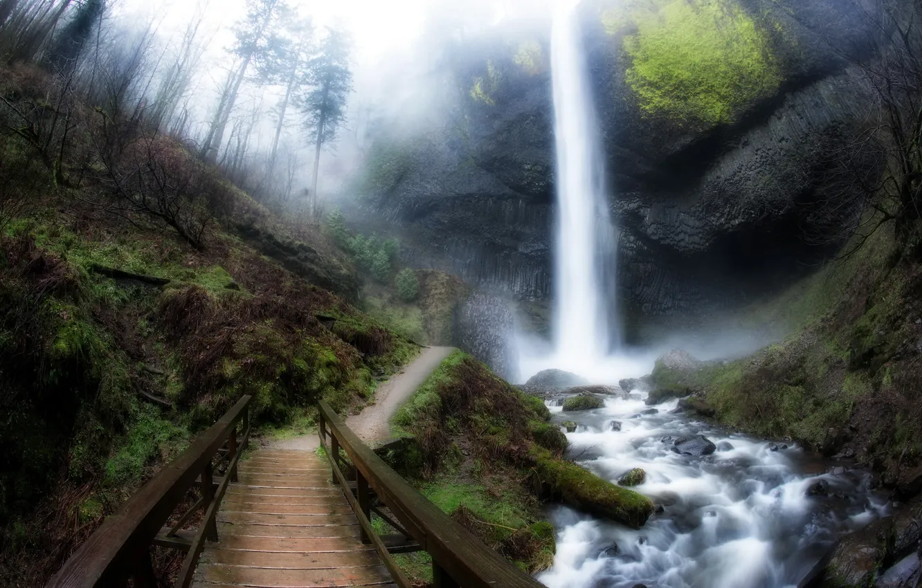 Photo wallpaper bridge, waterfall, United States, Washington, Mount Pleasant