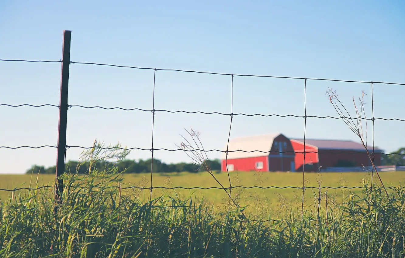 Photo wallpaper field, the sky, grass, the fence, the barn, farm, solar