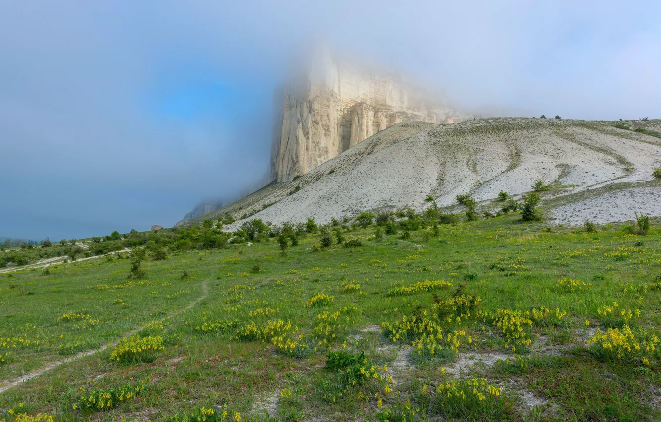 Photo wallpaper fog, spring, Crimea, White Rock, photographer Vladimir Ryabkov
