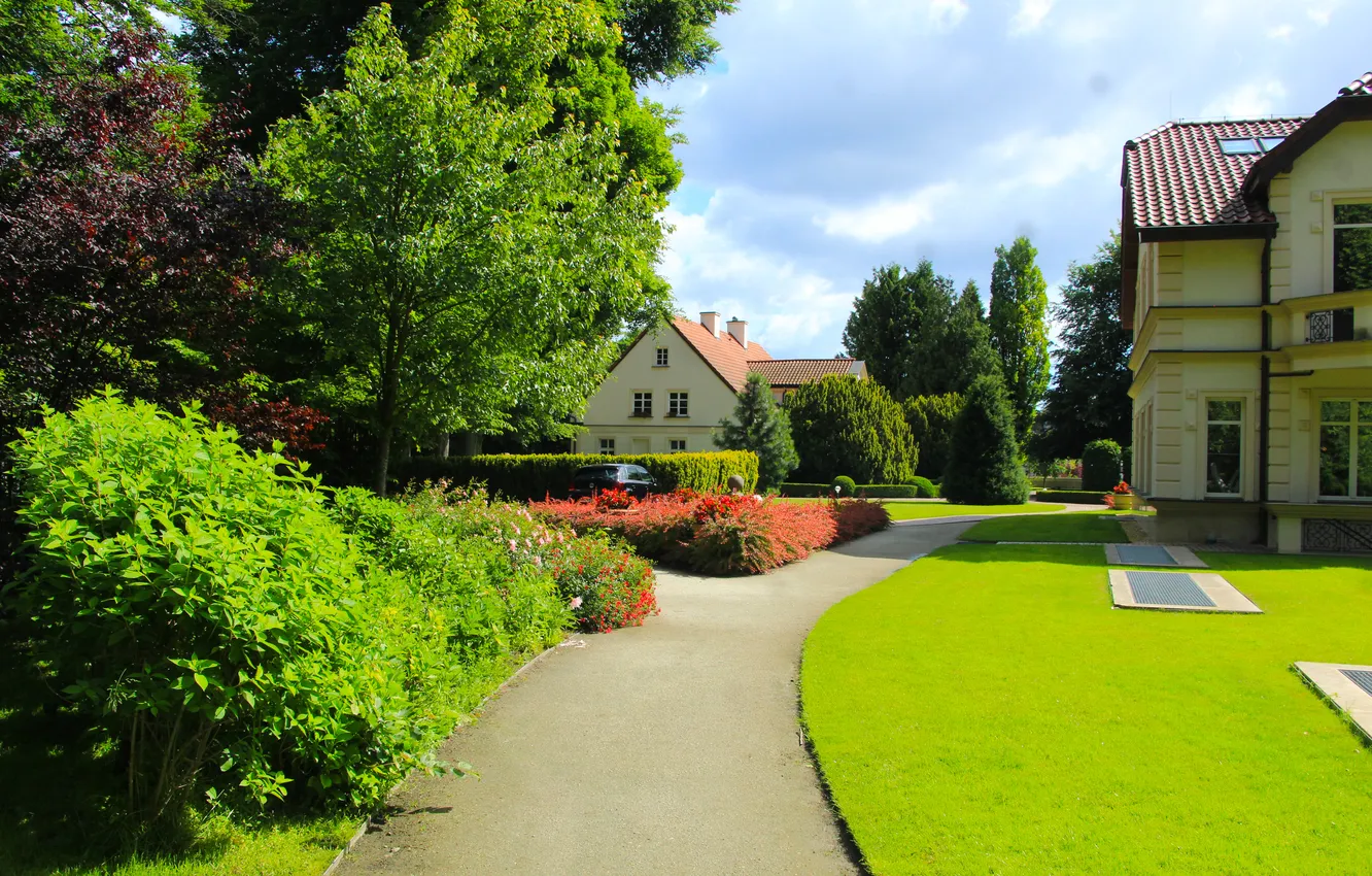 Photo wallpaper trees, park, alley