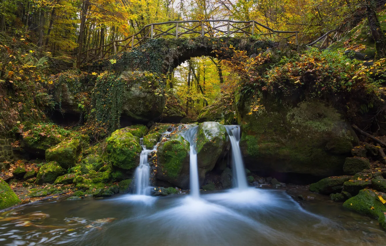 Photo wallpaper autumn, forest, bridge, river, stones, waterfall, moss, Luxembourg