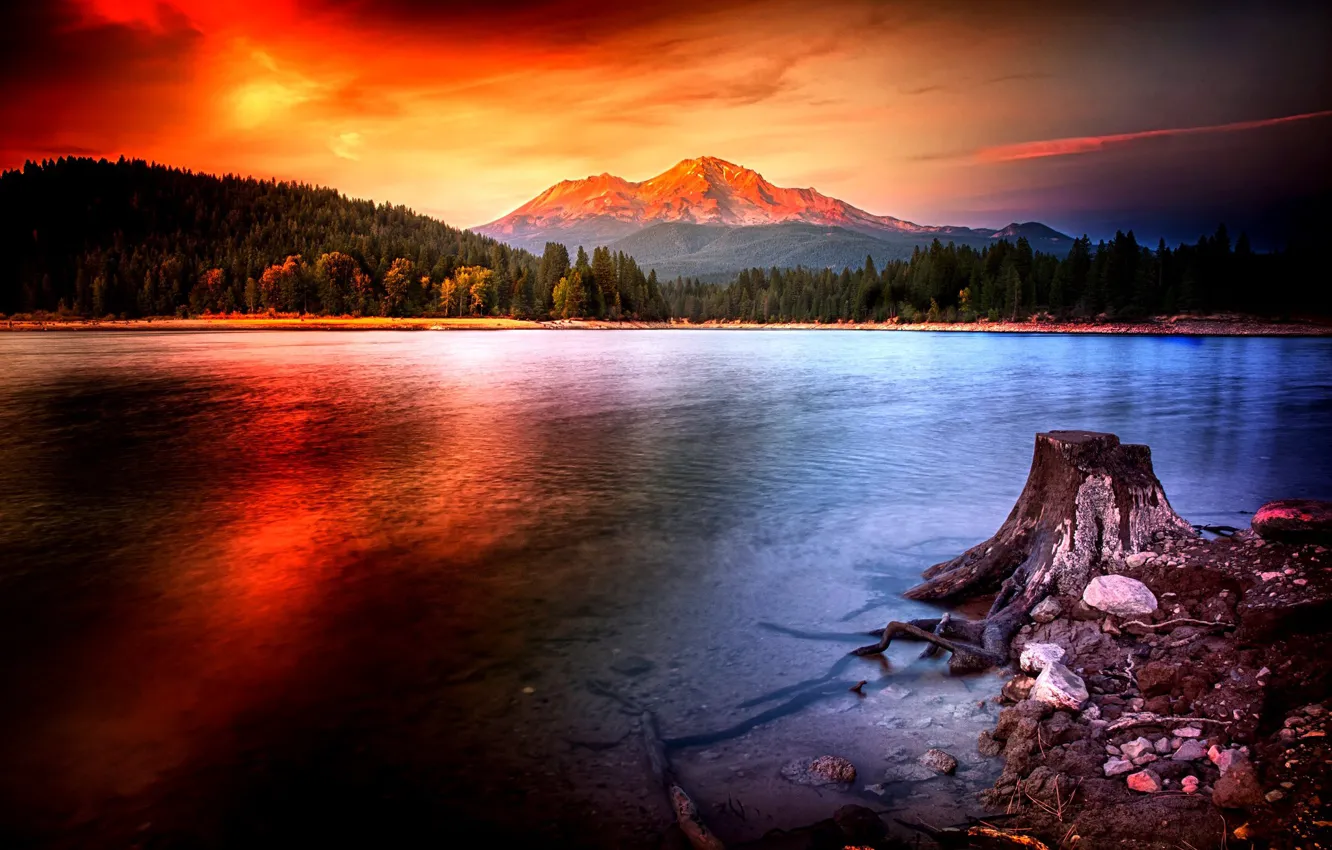 Photo wallpaper forest, the sky, clouds, sunset, mountains, stones, shore, stump