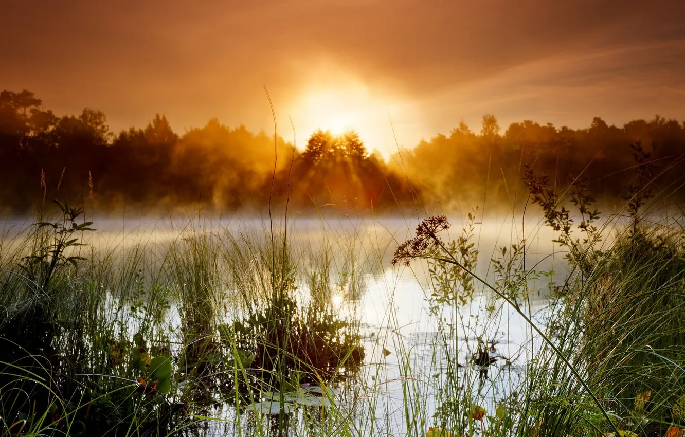 Photo wallpaper landscape, fog, lake