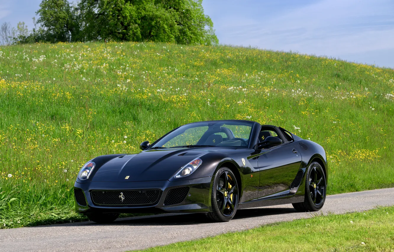 Photo wallpaper car, Ferrari, grass, SA Aperta, Ferrari SA Aperta