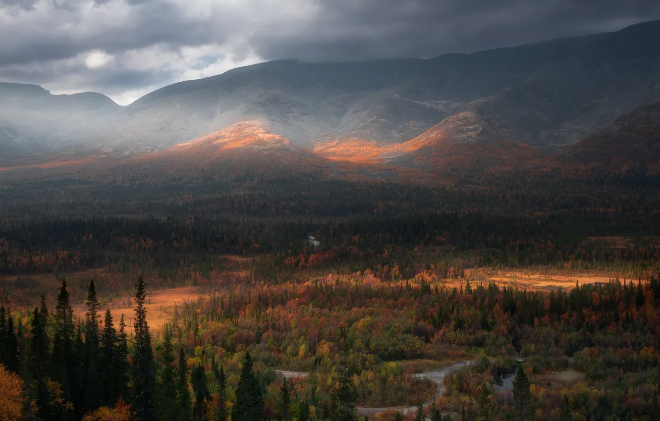 Photo wallpaper forest, clouds, trees, mountains, valley, rays of light, the beauty of nature, Khibiny