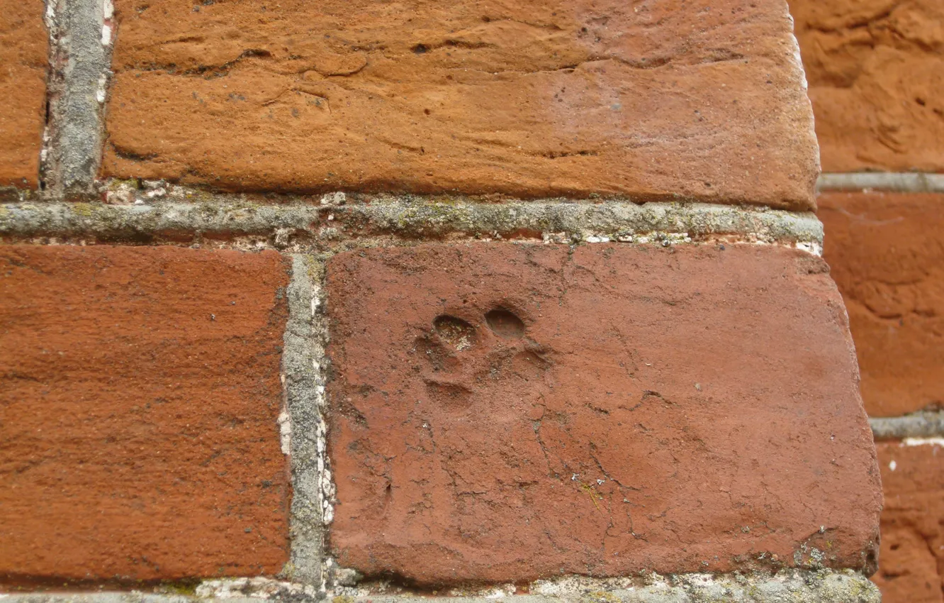 Photo wallpaper brick, brick wall, red brick