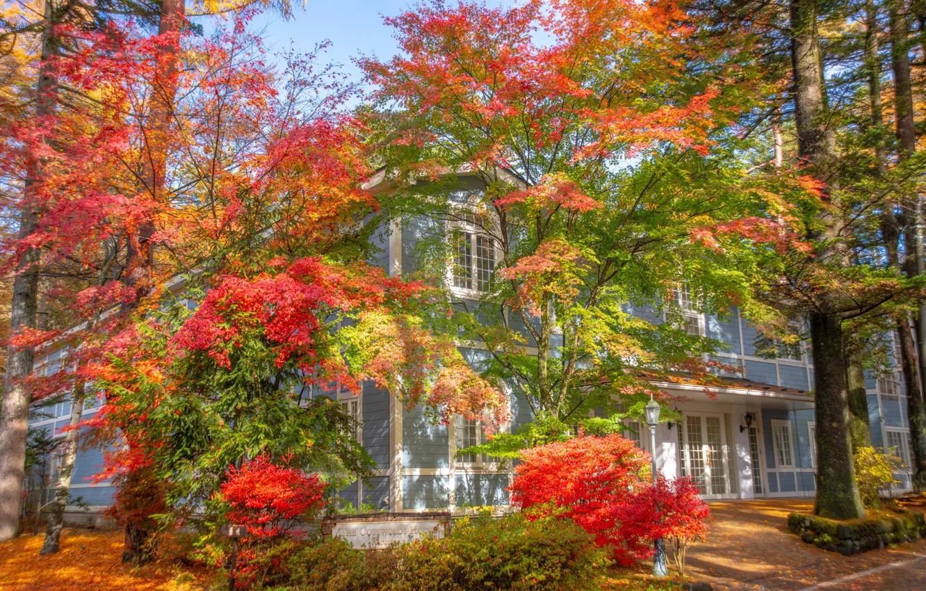 Photo wallpaper autumn, trees, Asia, home