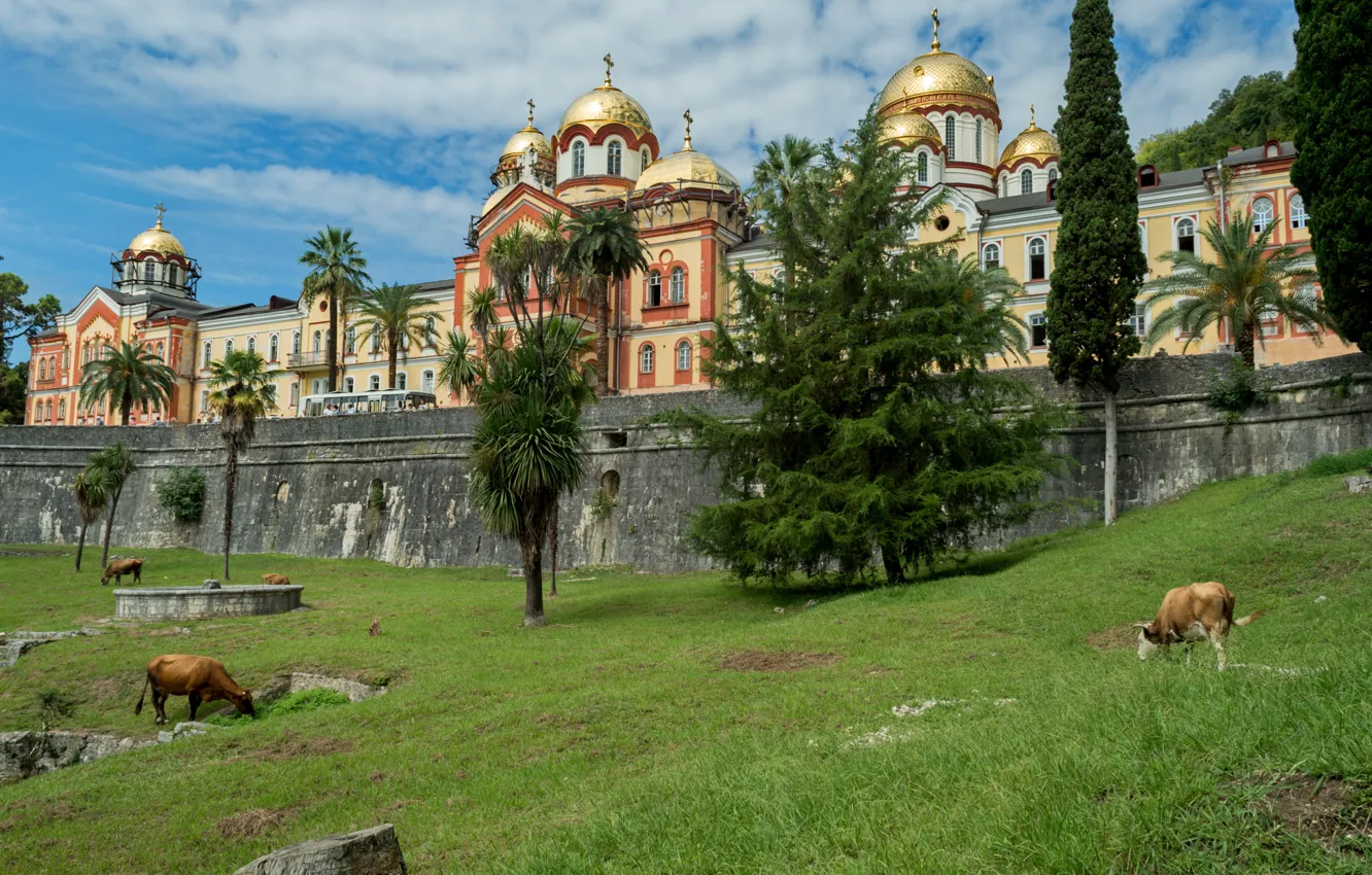 Photo wallpaper nature, palm trees, cows, Landscape, the monastery, Abkhazia, New Athos