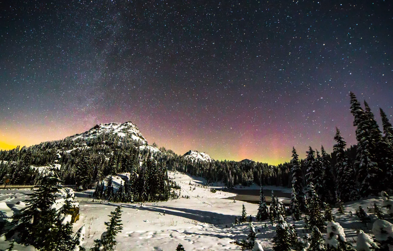 Photo wallpaper winter, forest, stars, snow, landscape, mountains, Rainier National Park