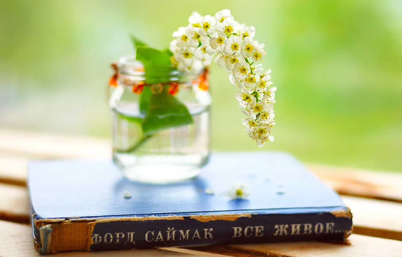 Photo wallpaper leaves, flowers, background, Wallpaper, jars, book, leaves, flowers
