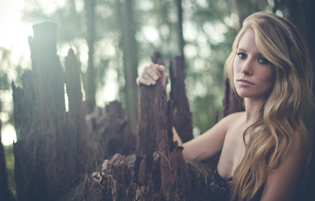 Photo wallpaper girl, face, photographer, girl, bark, photography, photographer, Brian Storey