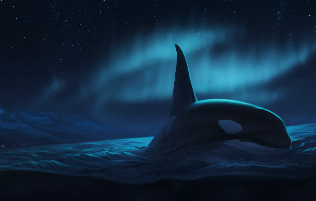 Photo wallpaper night, the ocean, Northern lights, whale, by Ciorano