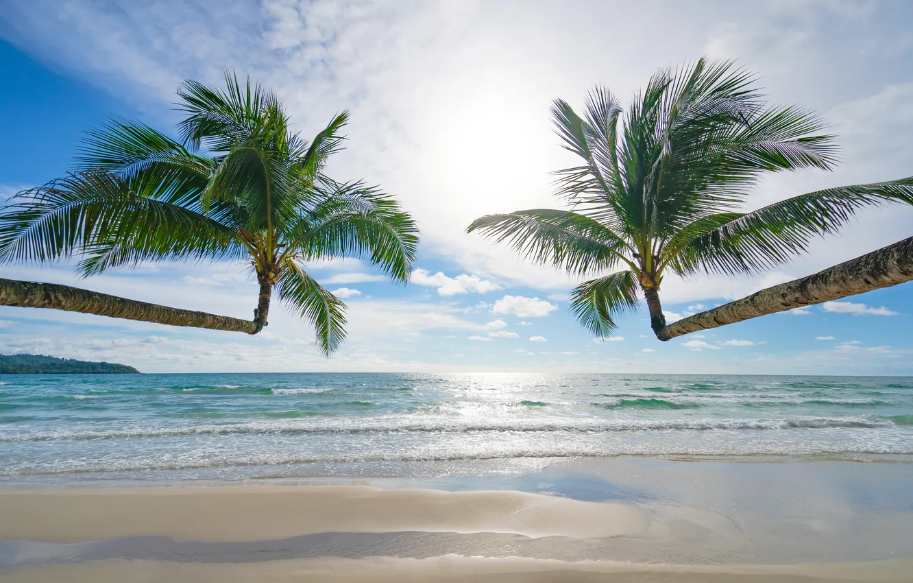 Photo wallpaper sand, sea, wave, beach, summer, the sky, palm trees, shore
