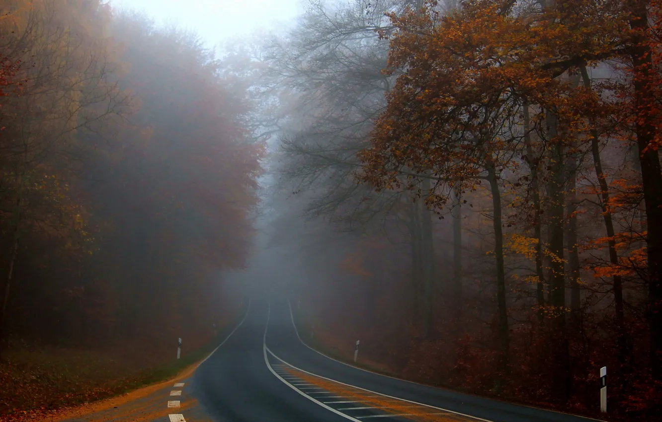 Photo wallpaper Beautiful, Autumn, Road, Fog, Forest