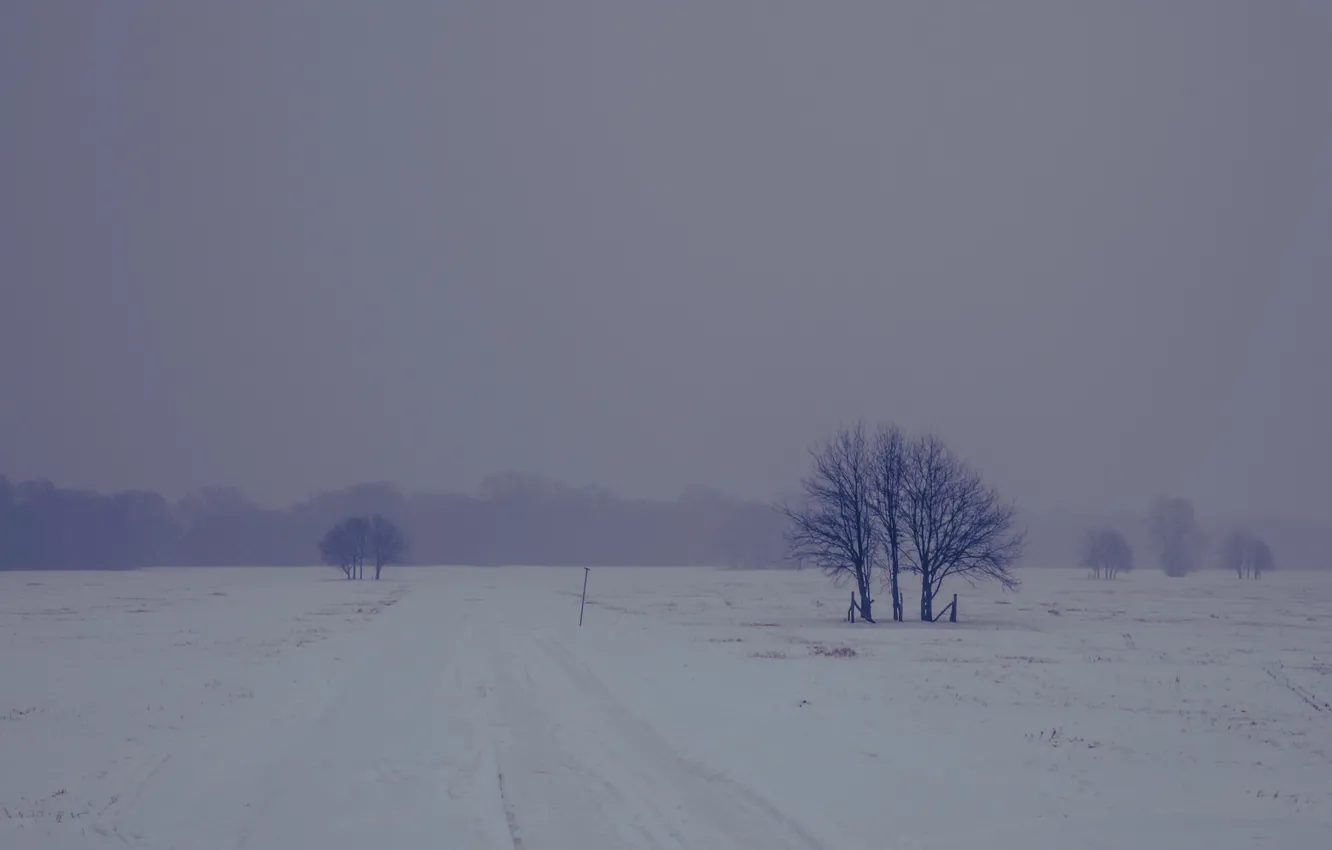 Photo wallpaper road, winter, fog