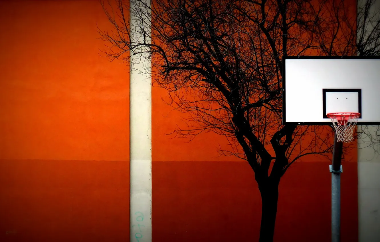 Photo wallpaper background, sport, shield