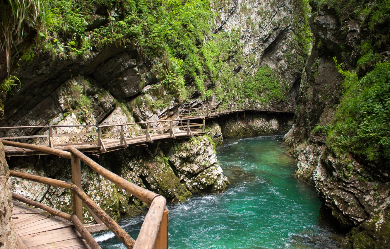 Photo wallpaper river, bridges, Slovenia