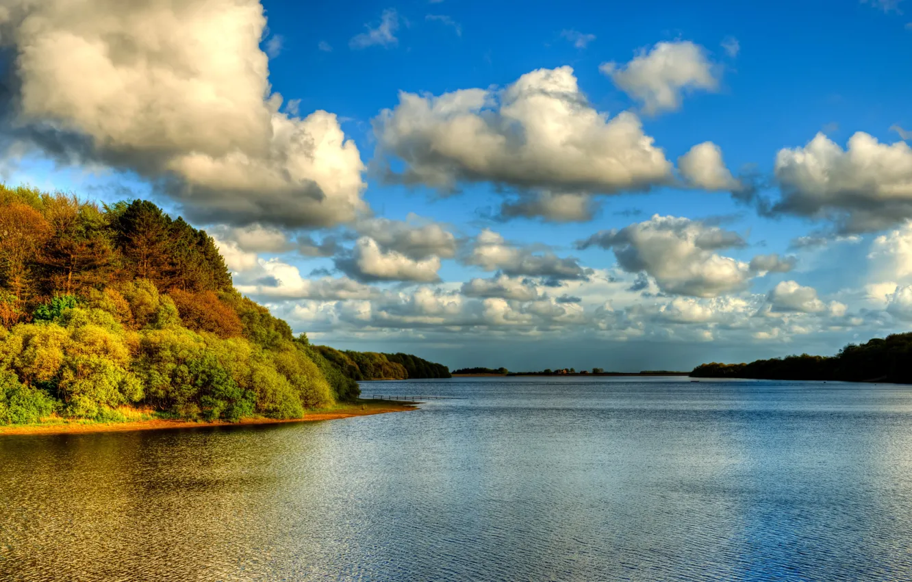 Photo wallpaper forest, clouds, lake, river, shore, horizon, the ripples on the water, pond