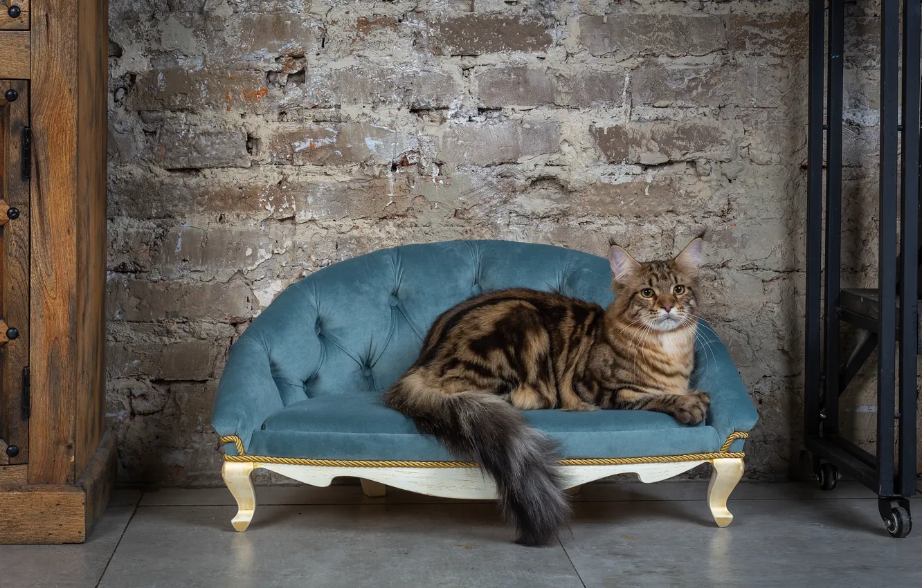 Photo wallpaper wall, style, sofa