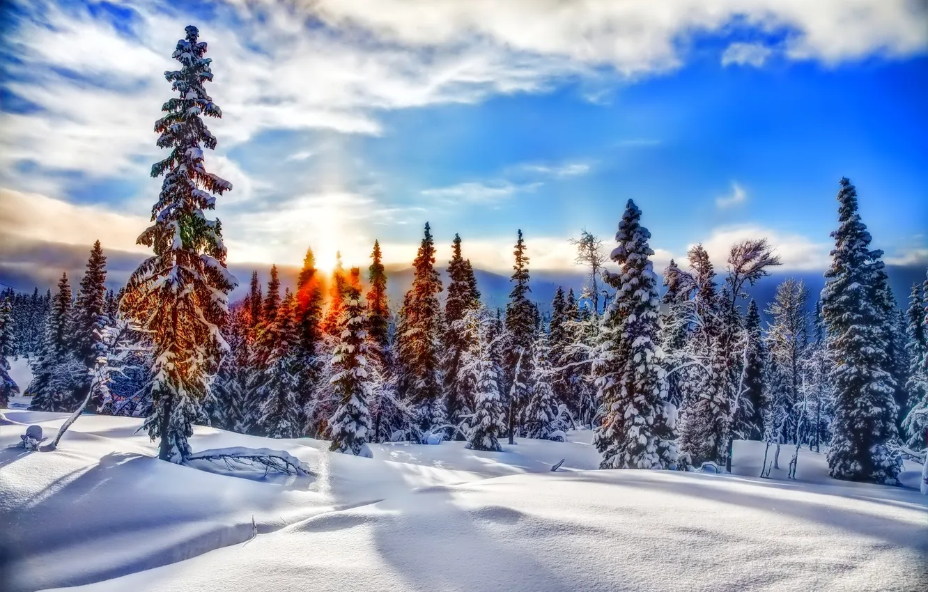 Photo wallpaper winter, forest, the sky, clouds, snow, sunset, mountains, spruce