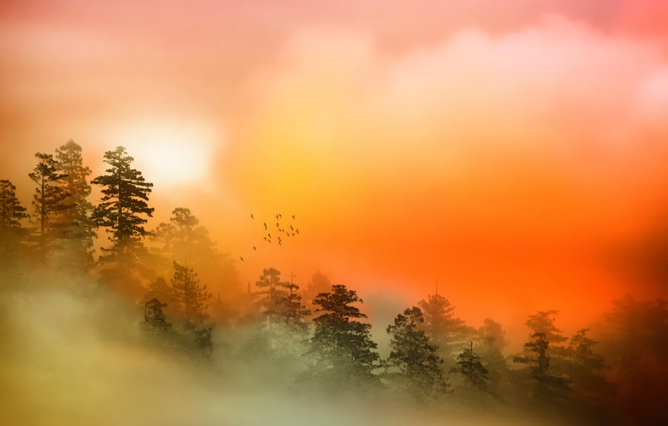 Photo wallpaper landscape, nature, fog, color