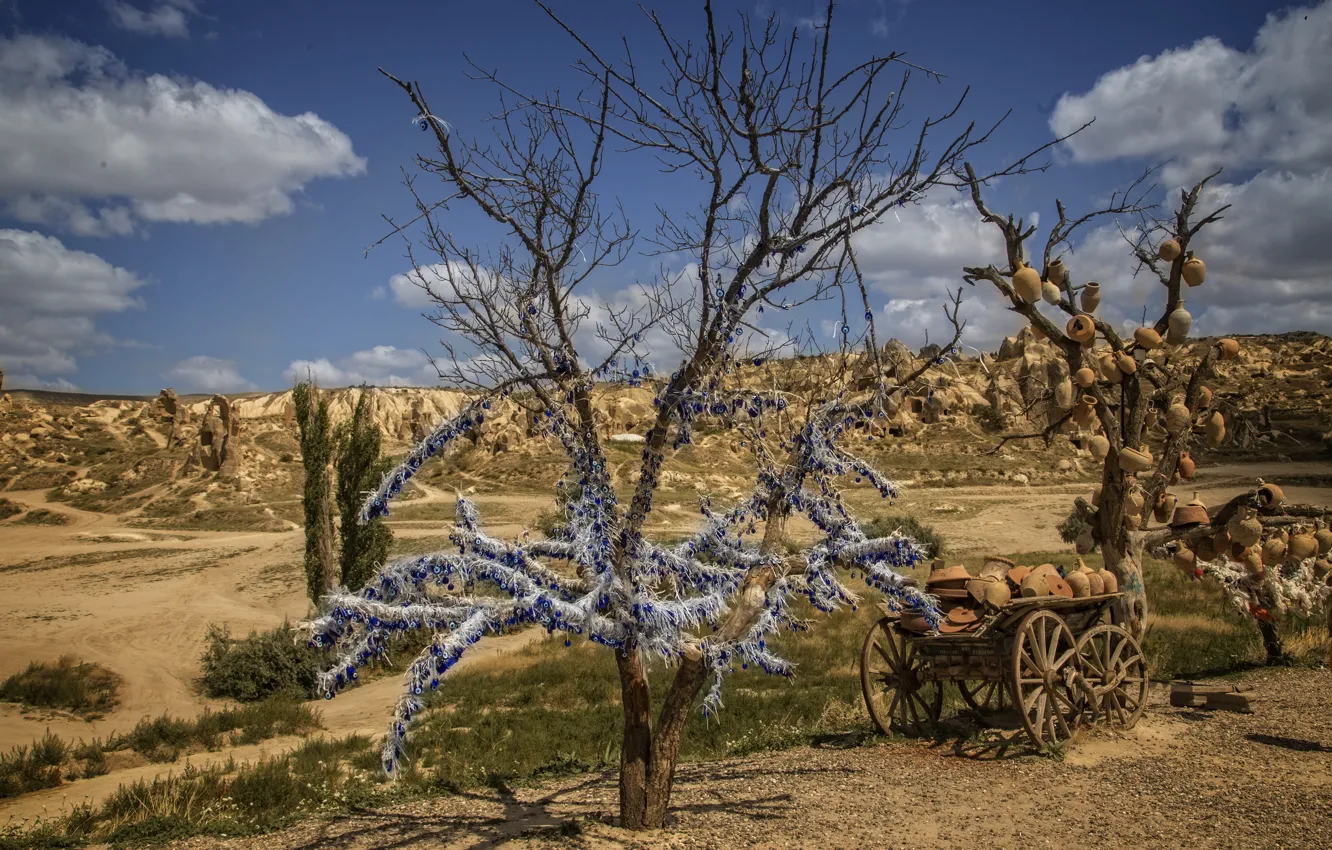 Photo wallpaper sky, nature, yellow, tree, hills, Cappadocia, cart, Kide FotoArt