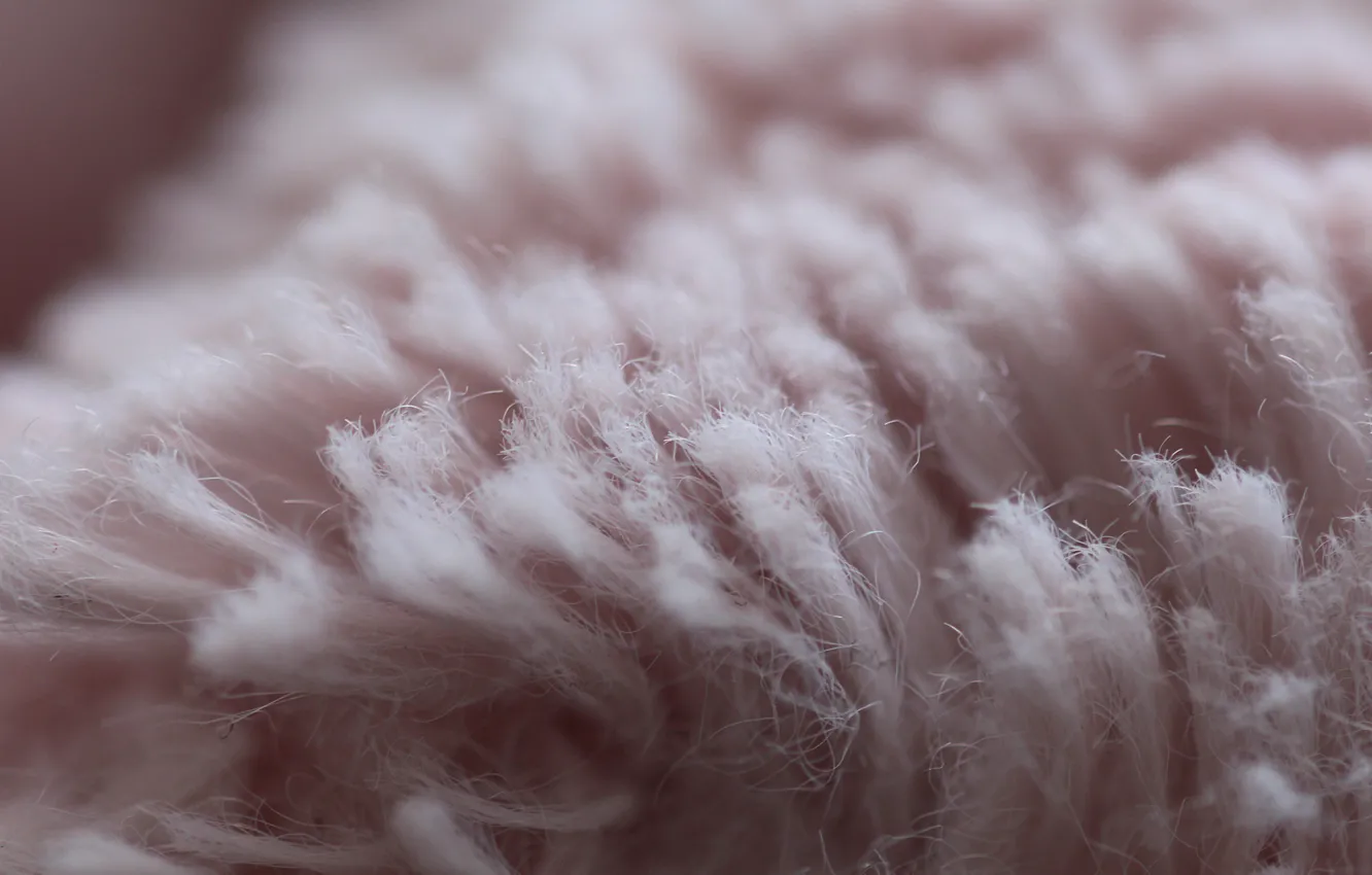 Photo wallpaper toy, photography, big, photo, camera, macro, Canon, home