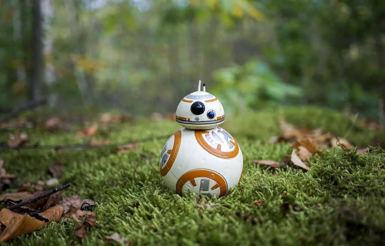 Photo wallpaper Star Wars, grass, BB-8