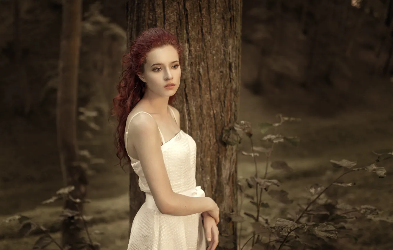 Photo wallpaper girl, dress, beautiful, one, in white, bokeh, in the woods, the tree