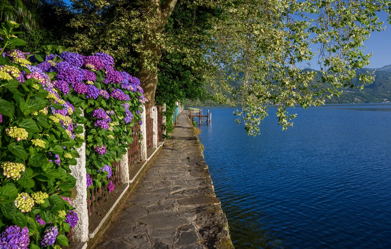 Photo wallpaper spring, Italy, flowering, lake Orta, Orta San Giulio