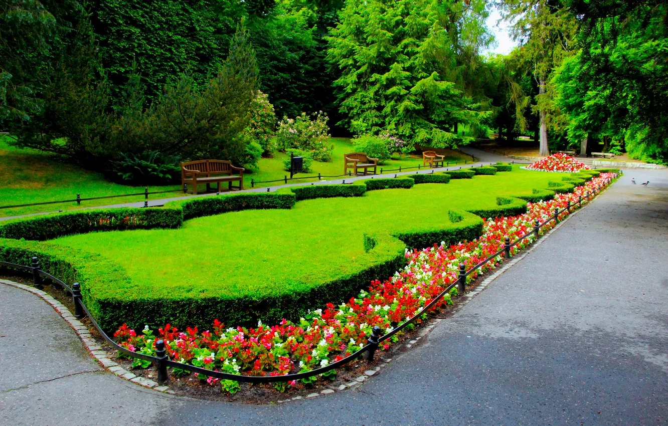 Photo wallpaper flower, park, alley