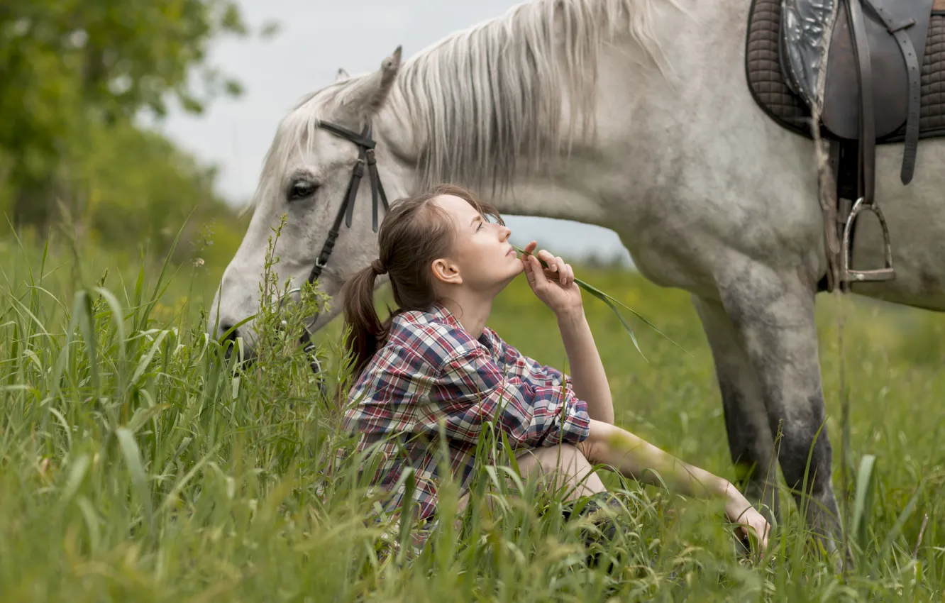 Photo wallpaper field, white, summer, grass, girl, nature, pose, horse