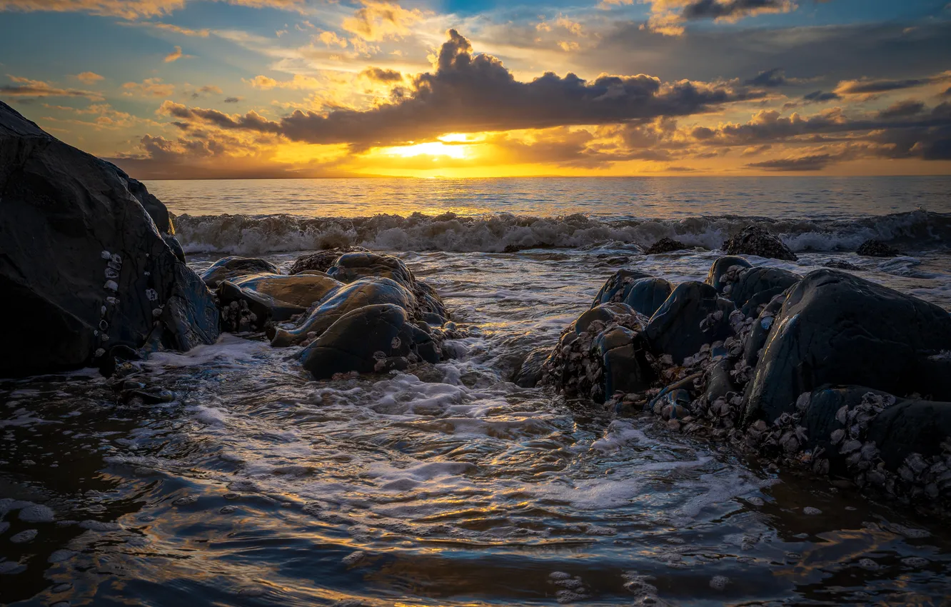 Photo wallpaper sea, wave, sunset, stones