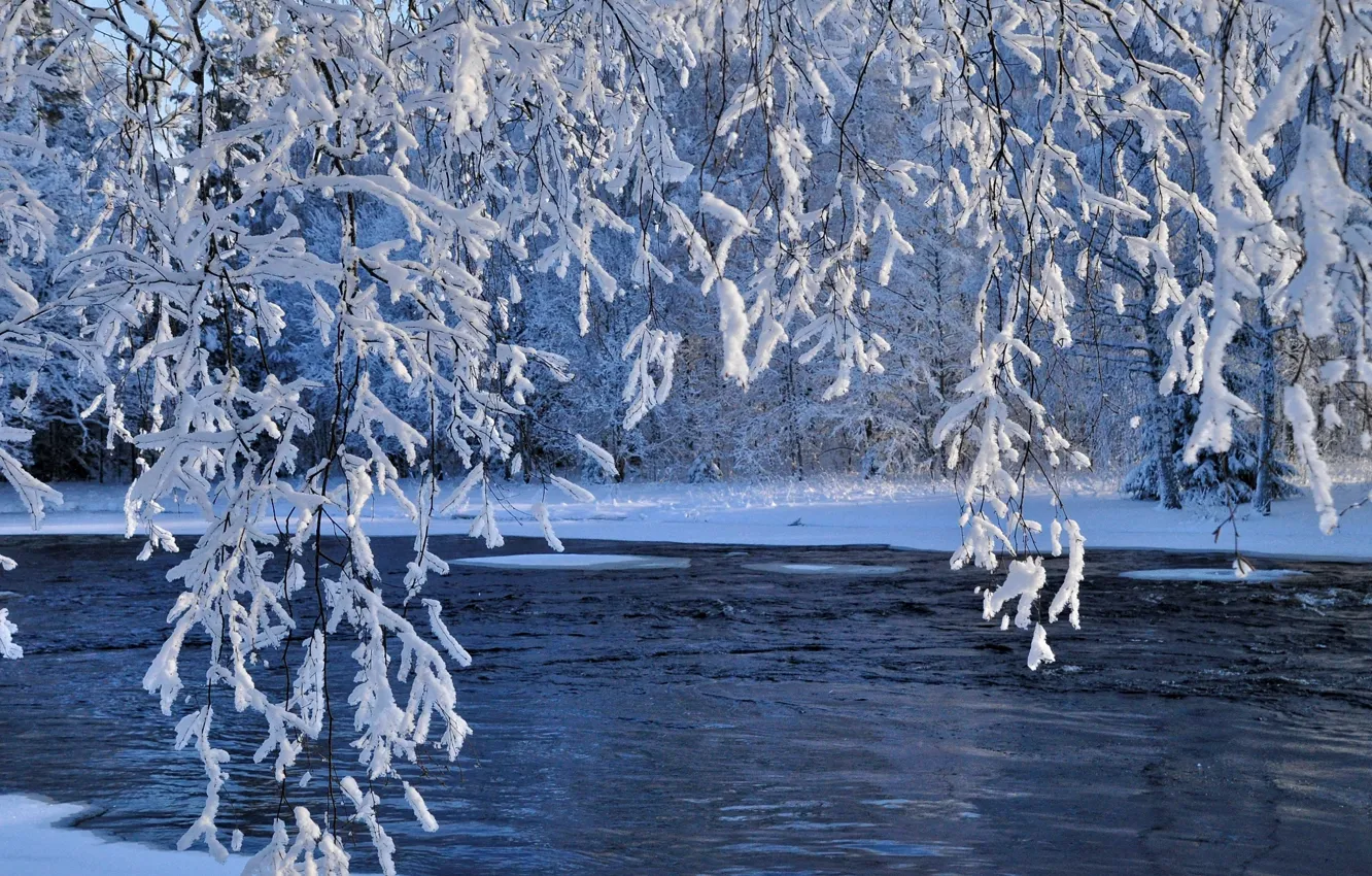 Photo wallpaper winter, water, snow, branches, nature, river