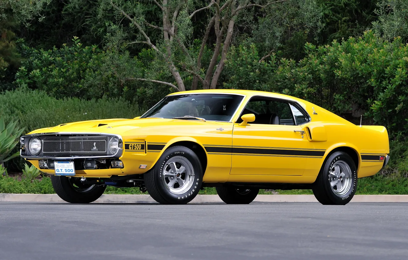 Photo wallpaper Shelby, GT500, 1969