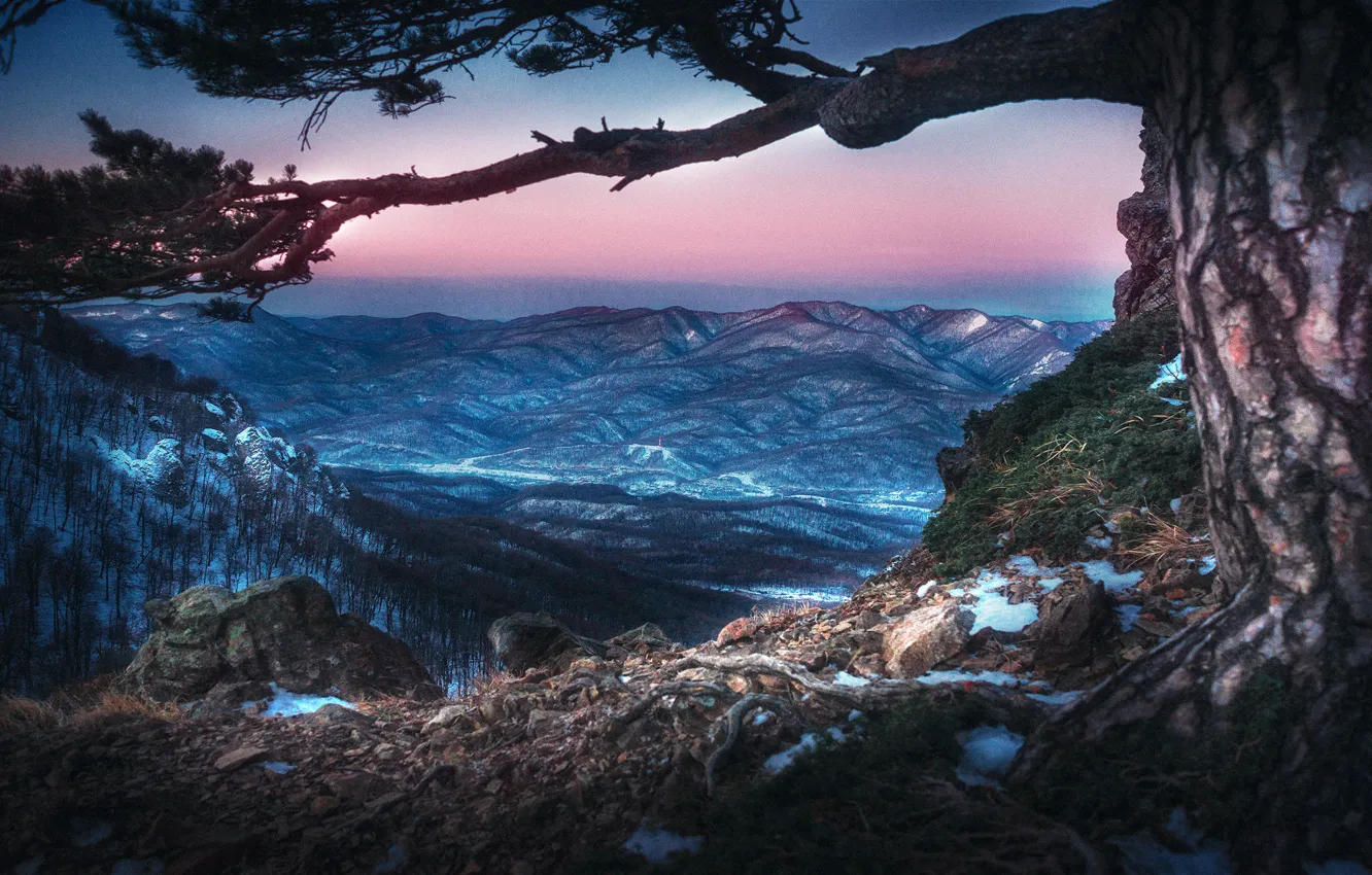 Photo wallpaper winter, landscape, mountains, nature, tree, Tuapse, twilight