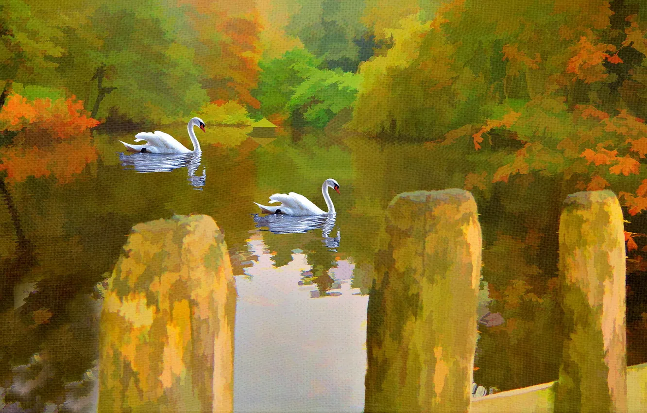 Photo wallpaper lake, picture, swans