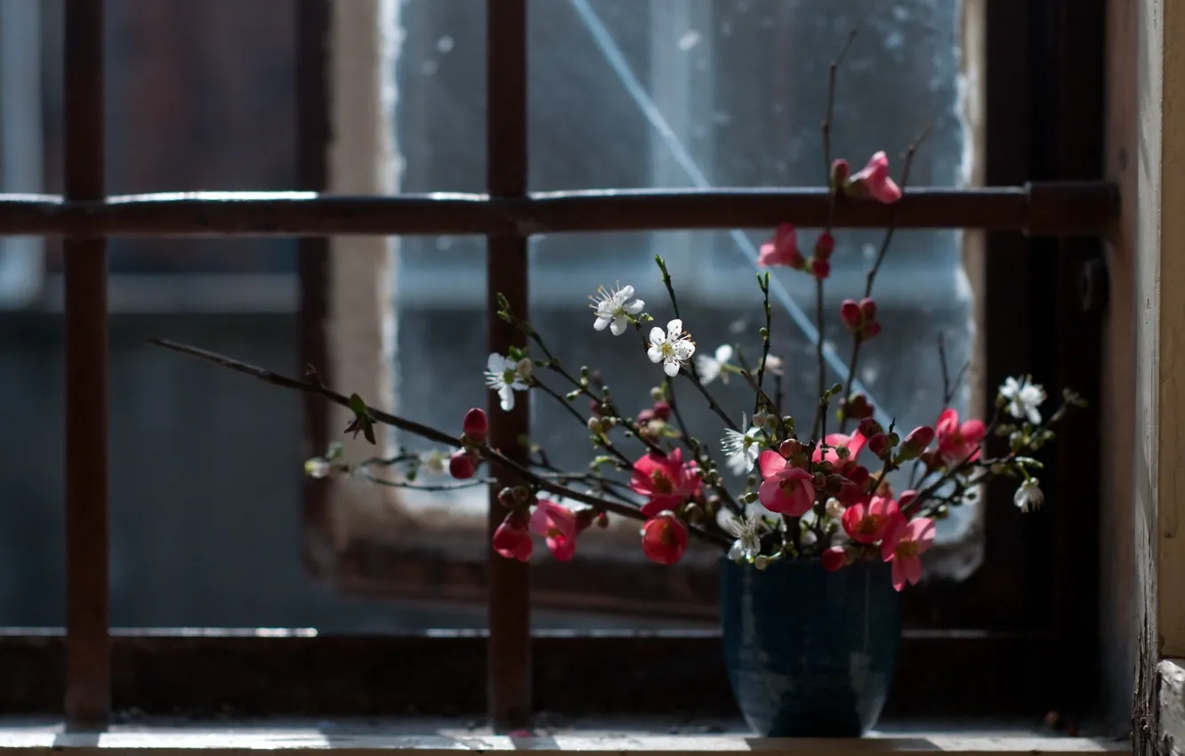 Photo wallpaper flowers, background, window