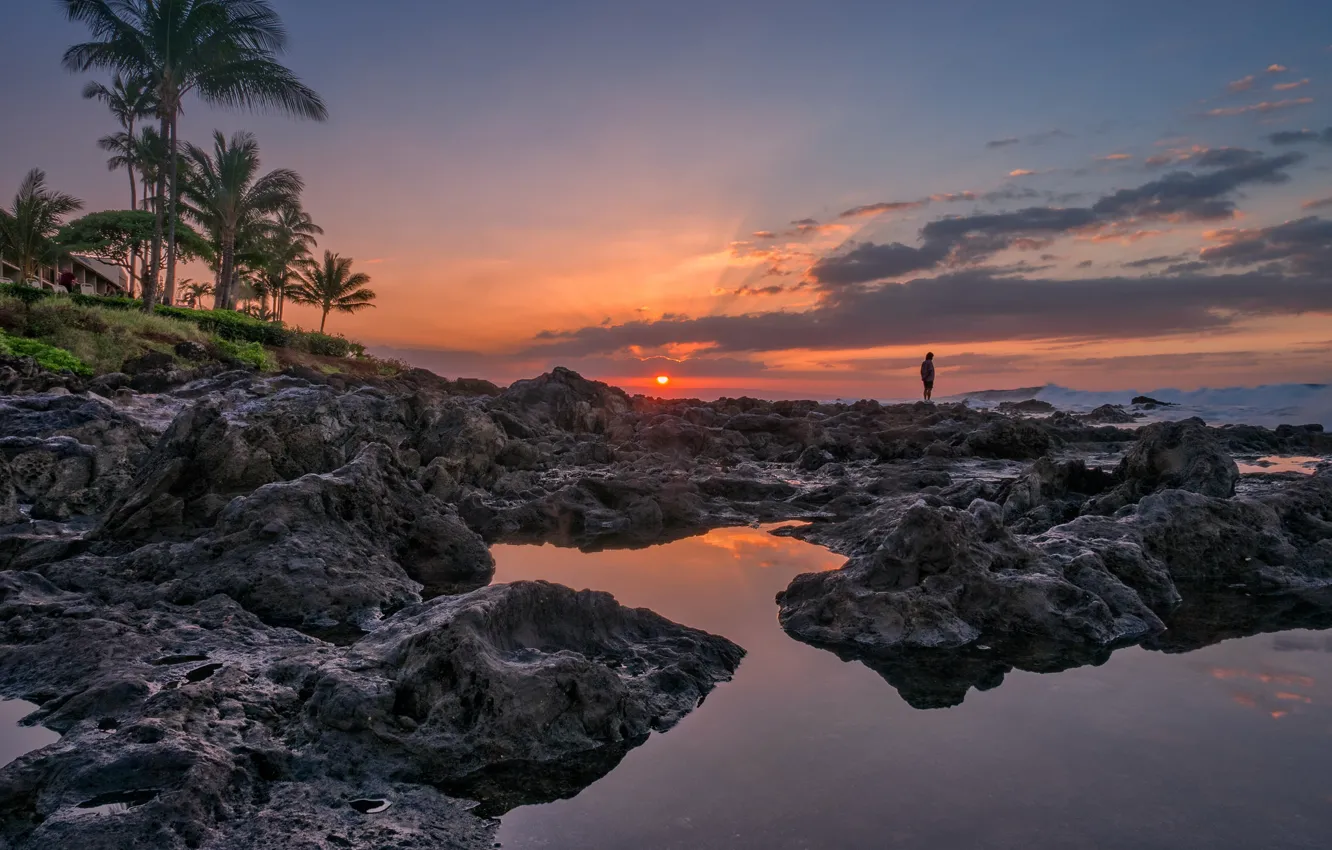 Photo wallpaper sunset, palm trees, the ocean, coast, Hawaii, Hawaii, Maui, Maui