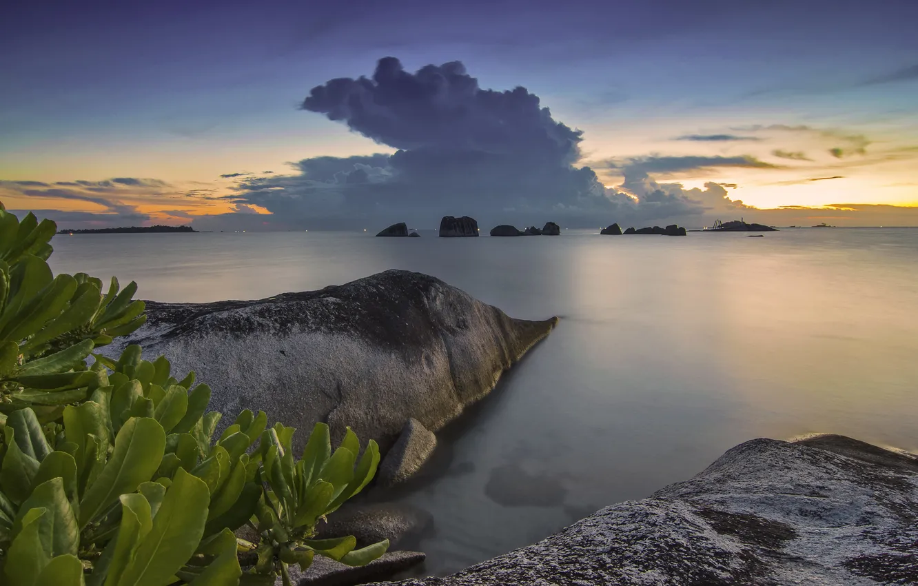 Photo wallpaper sea, sunset, stones, rocks, coast, Indonesia, mangroves, Indonesia